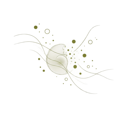 OXIDATIVE STRESS